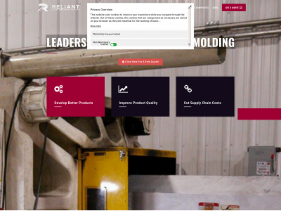 reliantplastics.com snapshot