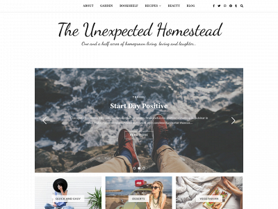 theunexpectedhomestead.com snapshot