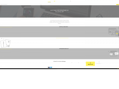 levelmarketinggroup.com snapshot