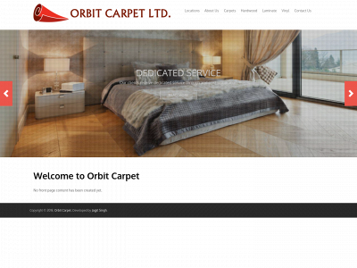 orbitcarpet.com snapshot