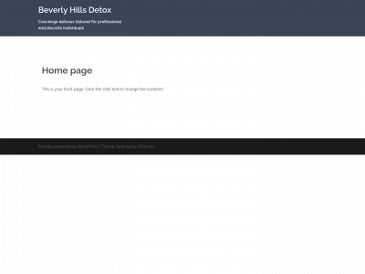 bhdetox.com snapshot