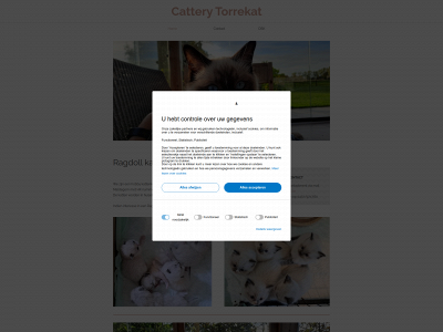 torrekat.be snapshot