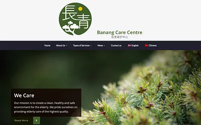 banangcarecentre.com snapshot