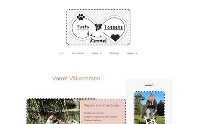 tystatassen.se snapshot
