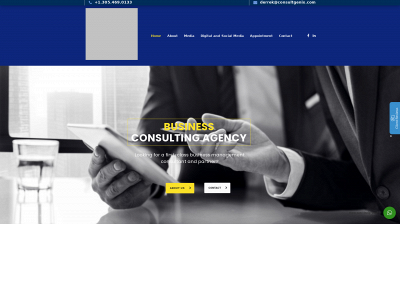 consultgenix.com snapshot