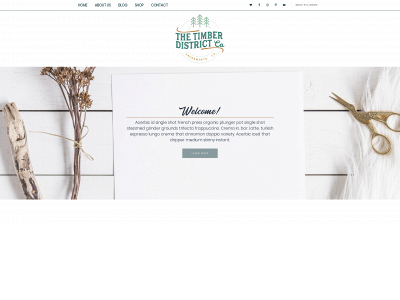 thetimberdistrict.com snapshot