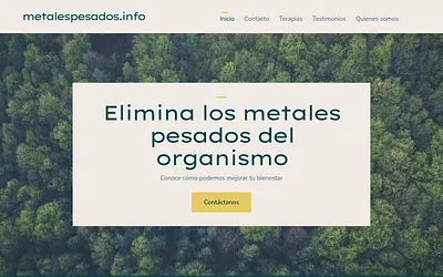 metalespesados.info snapshot