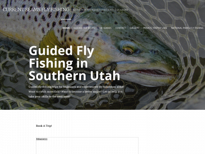 currentseamsflyfishing.com snapshot
