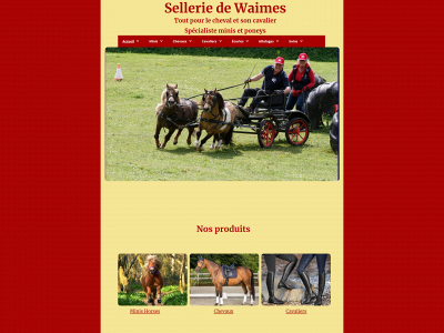 selleriedewaimes.be snapshot