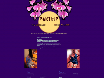 panthipmassage.be snapshot