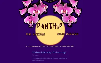 panthipmassage.be snapshot