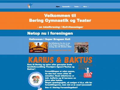 beringgt.dk snapshot