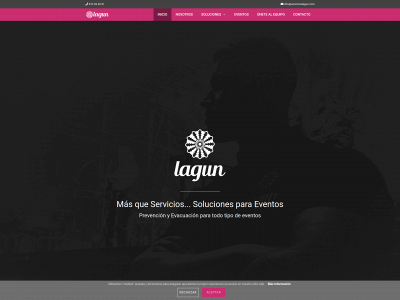 servicioslagun.com snapshot