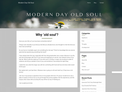 moderndayoldsoul.com snapshot