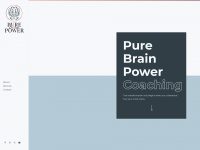 purebrainpowercoaching.com snapshot