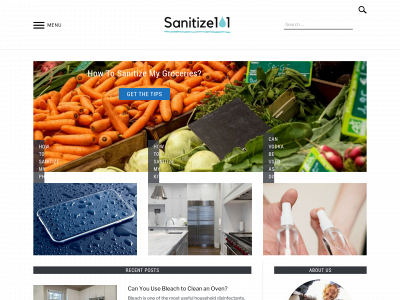 sanitize101.com snapshot