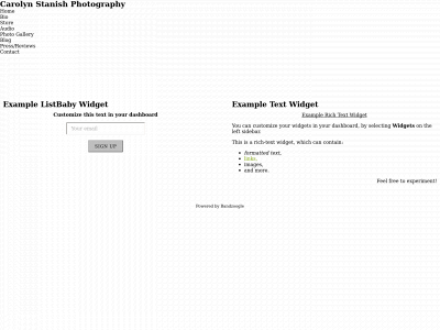 carolynstanish.com snapshot