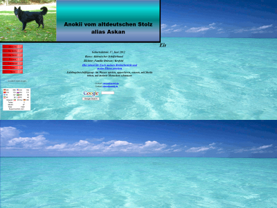 anokii.de snapshot
