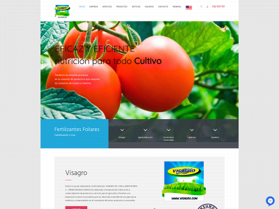 visagro.com snapshot