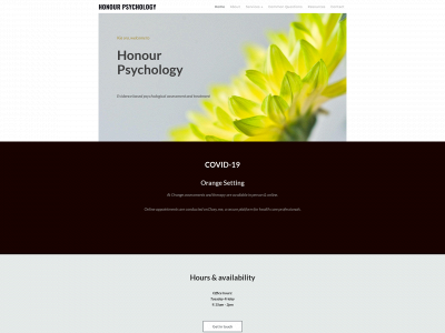 honourpsychology.co.nz snapshot