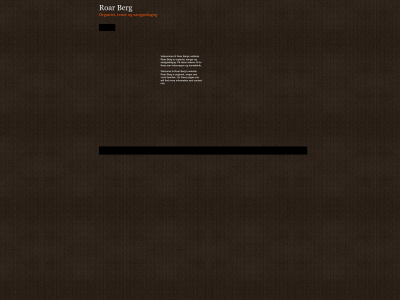 bergsong.com snapshot