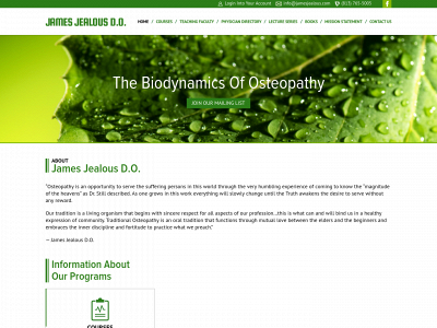 jamesjealous.com snapshot