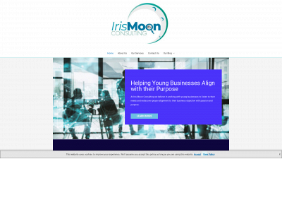 irismoonconsulting.com snapshot