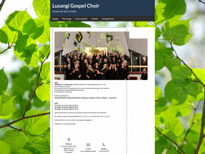 lusangi.dk snapshot