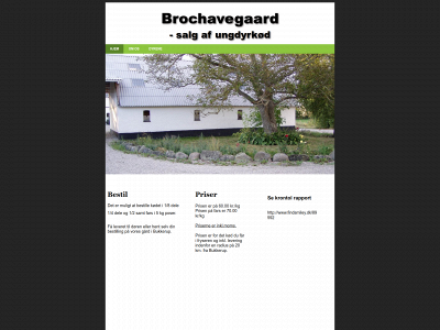 brochavegaard.dk snapshot