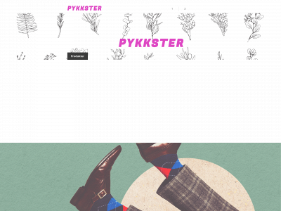 pykk.se snapshot