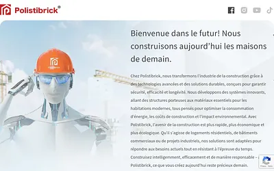 polistibrick.be snapshot