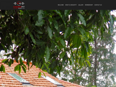 crossfitmteliza.com snapshot