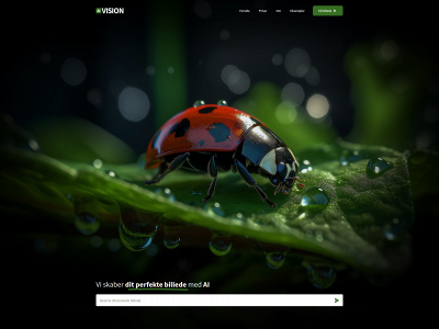 aivision.dk snapshot