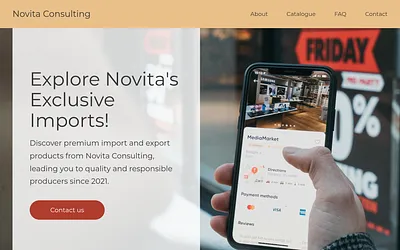 novitaconsulting.com snapshot