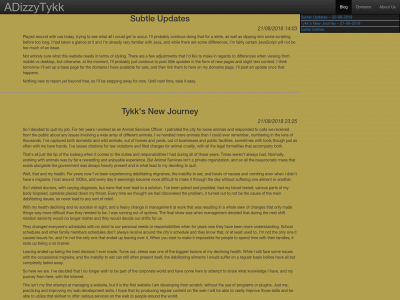 adizzytykk.com snapshot