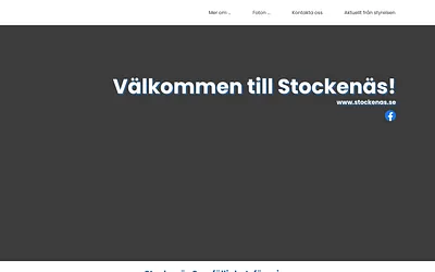 stockenas.se snapshot