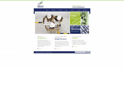 falconofs.com snapshot