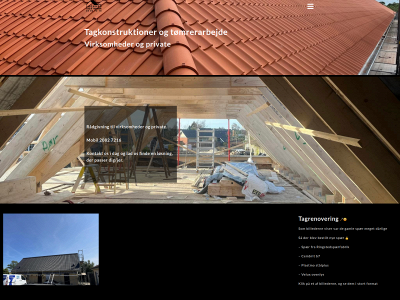 tagogtømrer.dk snapshot