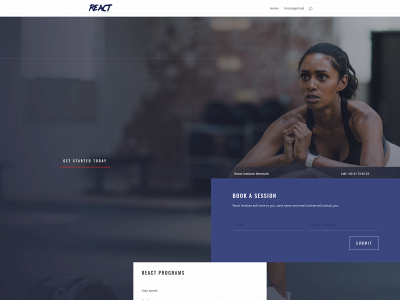 reactinstitute.training snapshot