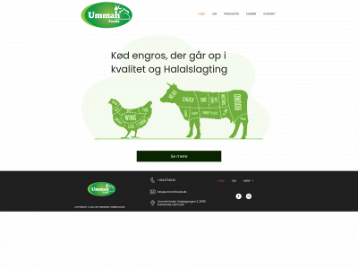 ummahfoods.dk snapshot