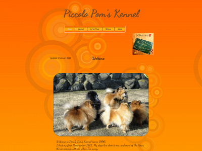 piccolopom.com snapshot