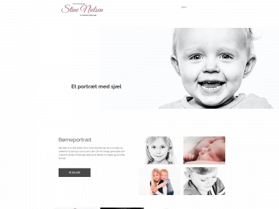 stinesfoto.dk snapshot