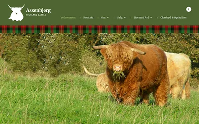 assenbjerg.dk snapshot