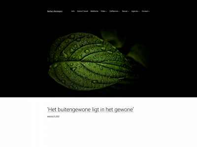 nathannaga.nl snapshot