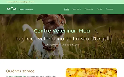 centreveterinarimoa.es snapshot