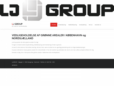 lj-group.online snapshot