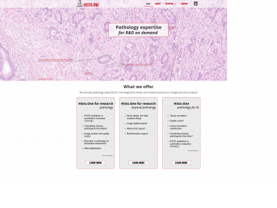 histo.one snapshot