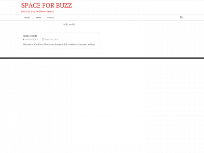 space4buzz.com snapshot