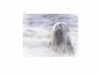 rekodog.se snapshot