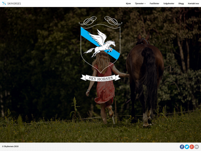 skyhorses.no snapshot